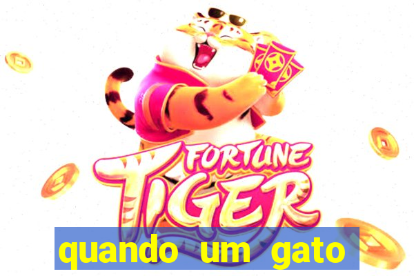 quando um gato aparece do nada significado espiritual